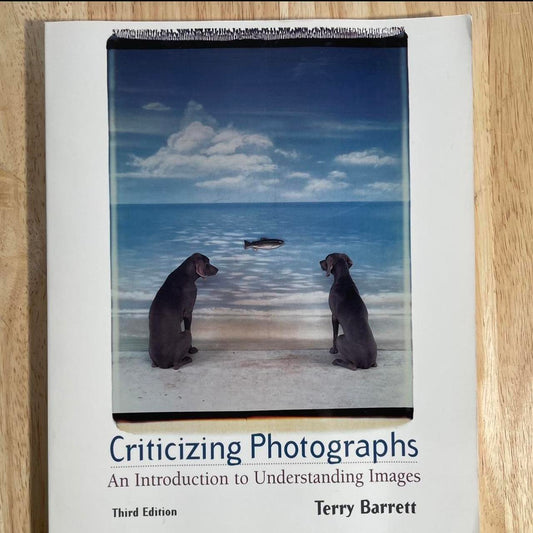 Criticizing Photographs By Terry Barrett Perfect Condition